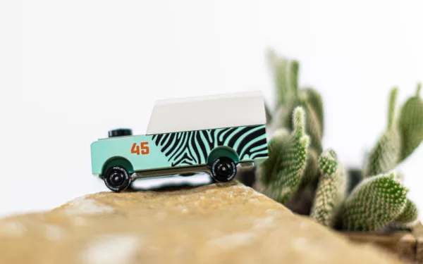 Mini Zebra Drifter - Image 4