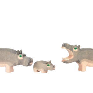 Hippopotamus