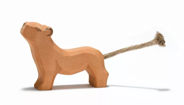 Lion small head high