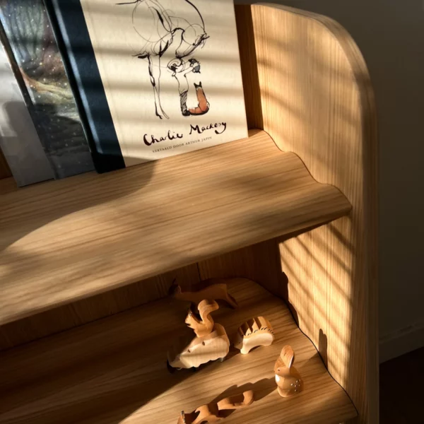 Large Curvy Bookcase - Image 3